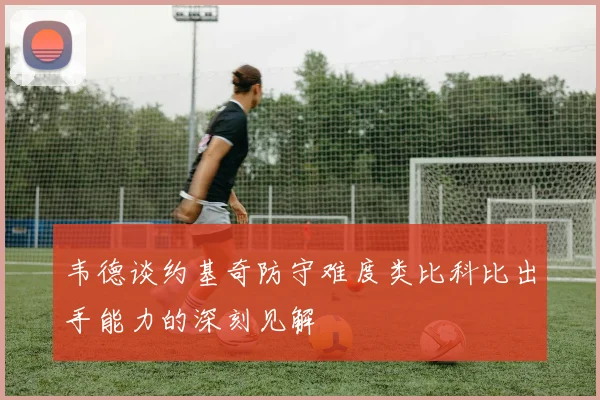韦德谈约基奇防守难度类比科比出手能力的深刻见解