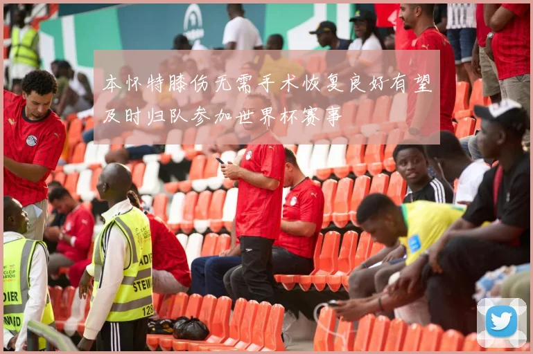 本怀特膝伤无需手术恢复良好有望及时归队参加世界杯赛事